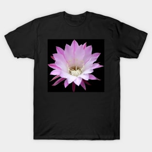 Pink Cactus in the Rain #1 T-Shirt